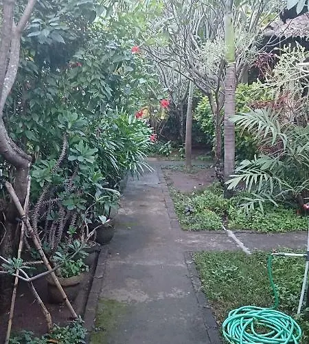 Aldi * Amed